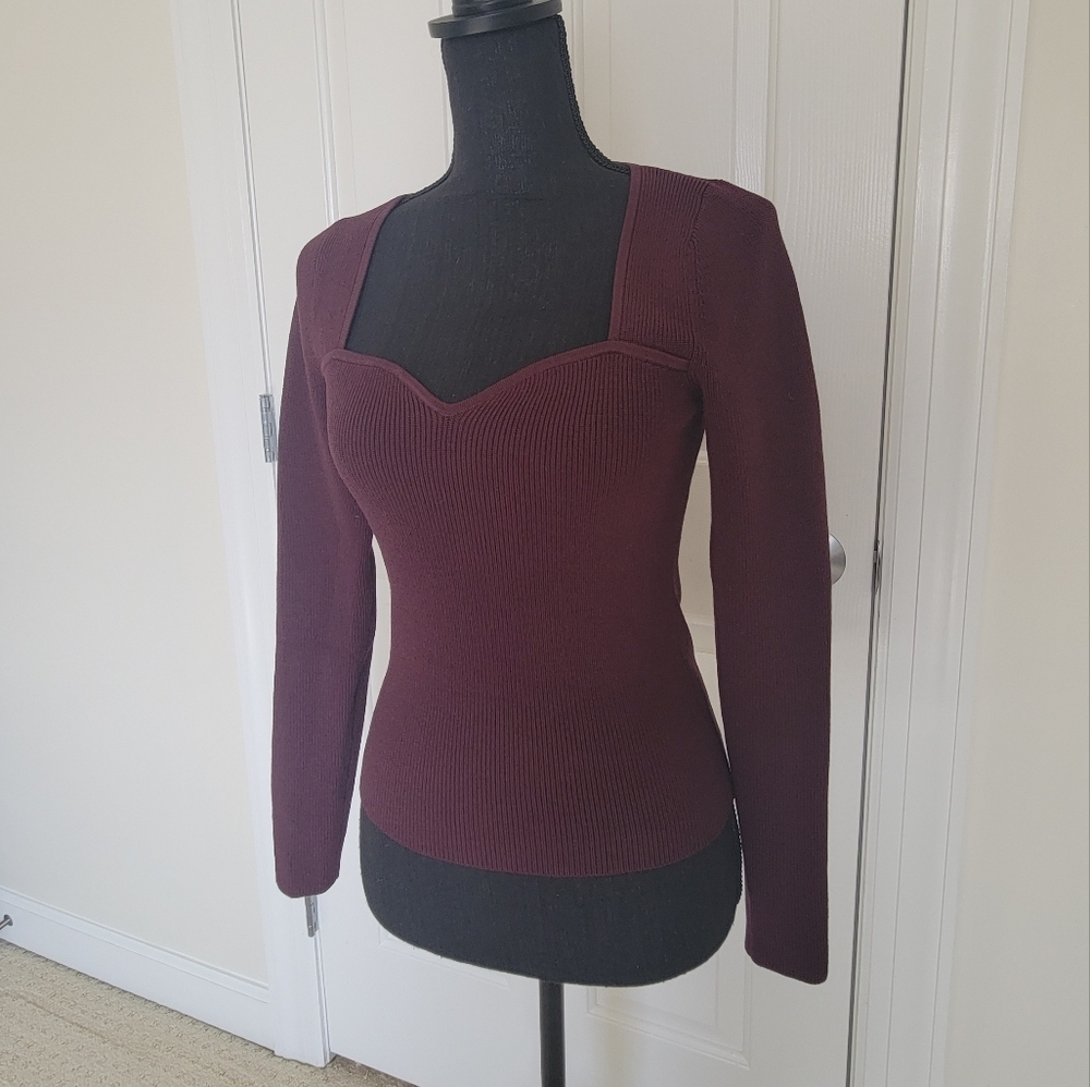 NWOT Express Sweater